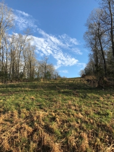 Beautiful 150-acre farmland near Harrison - image 19