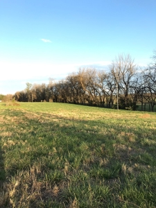 Beautiful 150-acre farmland near Harrison - image 46