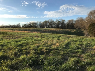 Beautiful 150-acre farmland near Harrison - image 38