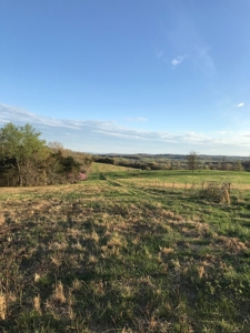 Beautiful 150-acre farmland near Harrison - image 39