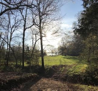 Beautiful 150-acre farmland near Harrison - image 16