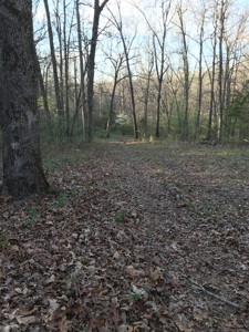 Beautiful 150-acre farmland near Harrison - image 29