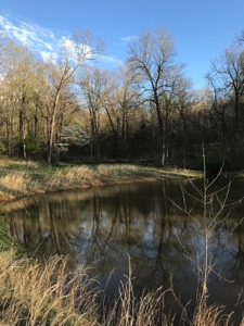Beautiful 150-acre farmland near Harrison - image 22