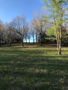 Beautiful 150-acre farmland near Harrison - image 4