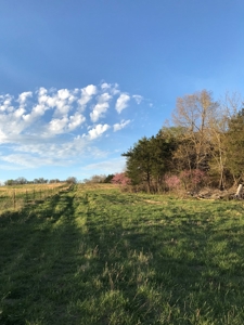 Beautiful 150-acre farmland near Harrison - image 44