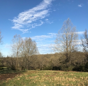 Beautiful 150-acre farmland near Harrison - image 5