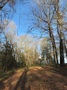 Beautiful 150-acre farmland near Harrison - image 30
