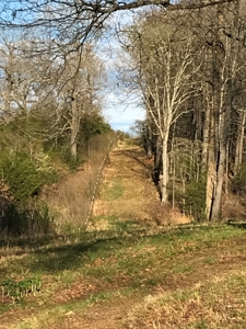 Beautiful 150-acre farmland near Harrison - image 21