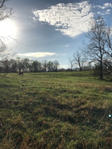 Beautiful 150-acre farmland near Harrison - image 8