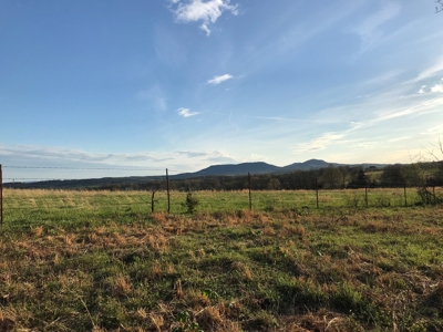 Beautiful 150-acre farmland near Harrison - image 33