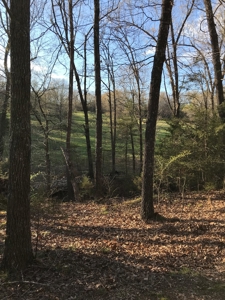 Beautiful 150-acre farmland near Harrison - image 14