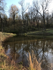 Beautiful 150-acre farmland near Harrison - image 23