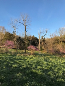 Beautiful 150-acre farmland near Harrison - image 43