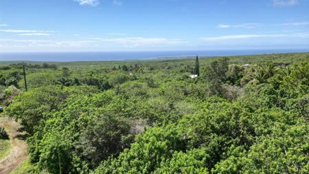 Sustainable 3-BR 2-BA Oceanview Home in Naalehu, HI - image 27