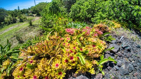 Sustainable 3-BR 2-BA Oceanview Home in Naalehu, HI - image 31