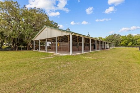 Horse Farm For Sale - High Springs Florida! - image 40