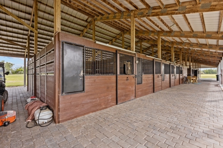 Horse Farm For Sale - High Springs Florida! - image 45
