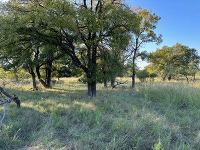 Home Lot 335 in King's Point Cove Resort Lake Brownwood, TX - image 50