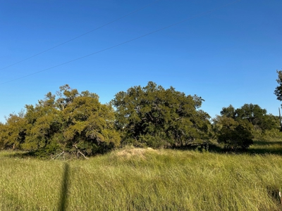 Home Lot 335 in King's Point Cove Resort Lake Brownwood, TX - image 43