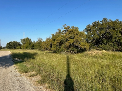 Home Lot 335 in King's Point Cove Resort Lake Brownwood, TX - image 44