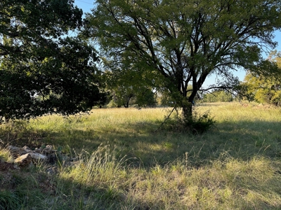 Home Lot 335 in King's Point Cove Resort Lake Brownwood, TX - image 45