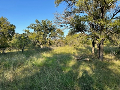 Home Lot 335 in King's Point Cove Resort Lake Brownwood, TX - image 47