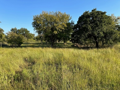 Home Lot 335 in King's Point Cove Resort Lake Brownwood, TX - image 42
