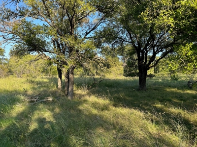 Home Lot 335 in King's Point Cove Resort Lake Brownwood, TX - image 48