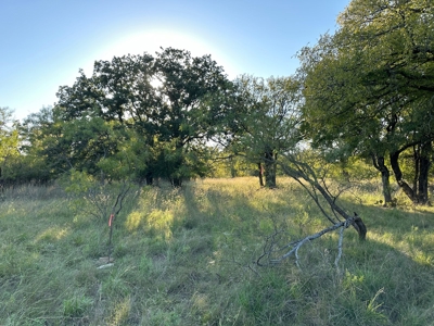 Home Lot 335 in King's Point Cove Resort Lake Brownwood, TX - image 49