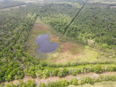 108 Acres Land for Sale Iberia Parish, LA - image 13