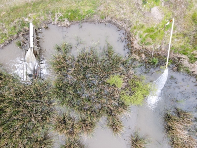 108 Acres Land for Sale Iberia Parish, LA - image 1
