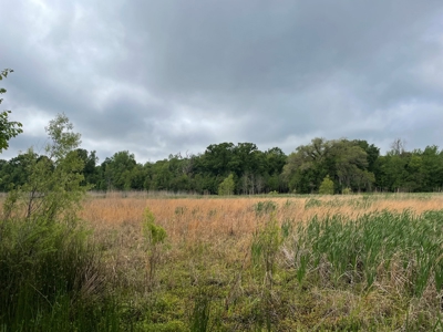 108 Acres Land for Sale Iberia Parish, LA - image 3