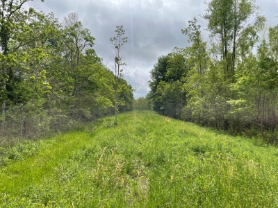 108 Acres Land for Sale Iberia Parish, LA - image 5
