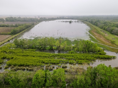 108 Acres Land for Sale Iberia Parish, LA - image 2