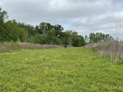 108 Acres Land for Sale Iberia Parish, LA - image 9
