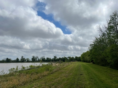 108 Acres Land for Sale Iberia Parish, LA - image 22