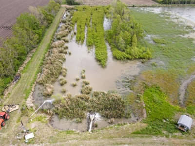 108 Acres Land for Sale Iberia Parish, LA - image 10