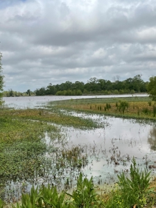 108 Acres Land for Sale Iberia Parish, LA - image 23