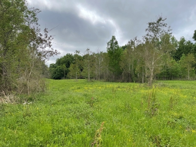108 Acres Land for Sale Iberia Parish, LA - image 8