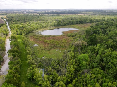 108 Acres Land for Sale Iberia Parish, LA - image 17