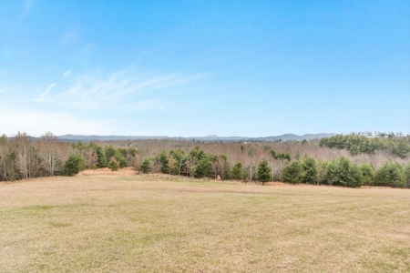 Historical Home for Sale in Floyd VA! - image 47