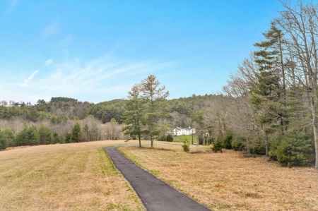 Historical Home for Sale in Floyd VA! - image 48