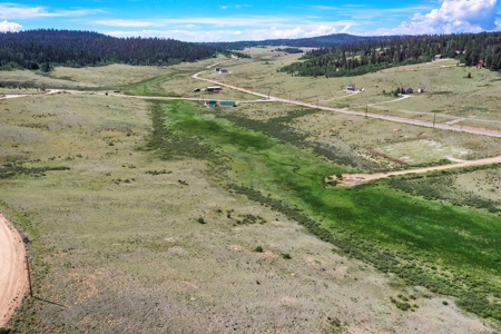 Colorado Mountain Property for sale - image 18