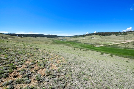 Colorado Mountain Property for sale - image 8