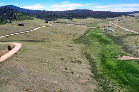 Colorado Mountain Property for sale - image 19