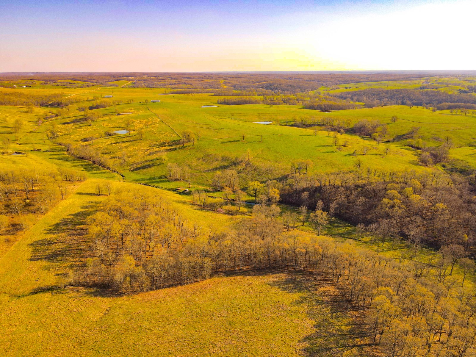 Cattle Ranch for Sale MO