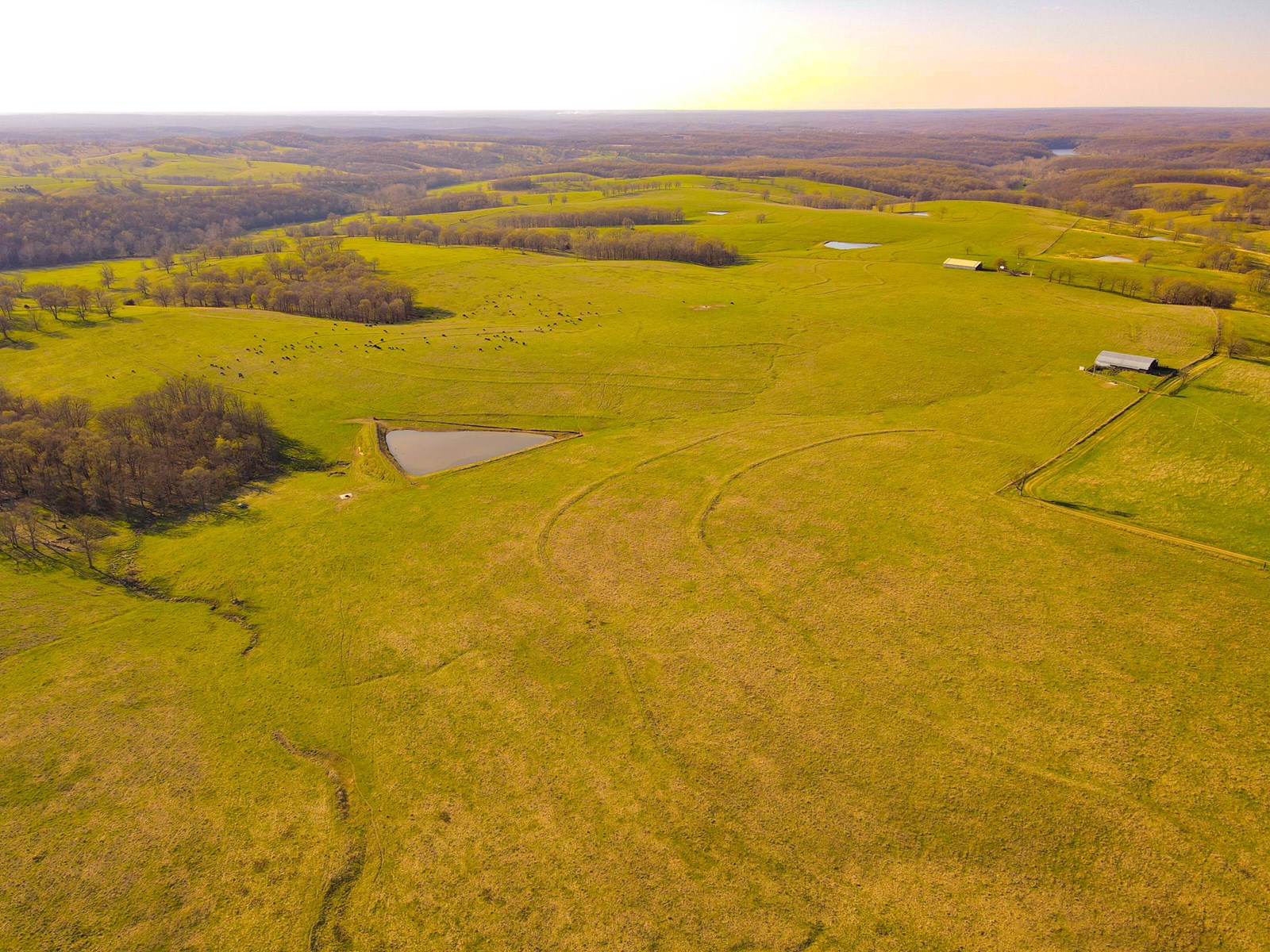 Cattle Ranch for Sale MO
