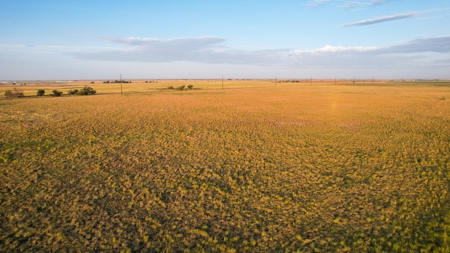 Improved Grass Tract, Expired CRP, Close to town - image 6