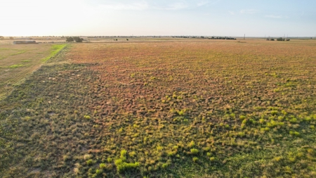 Improved Grass Tract, Expired CRP, Close to town - image 16