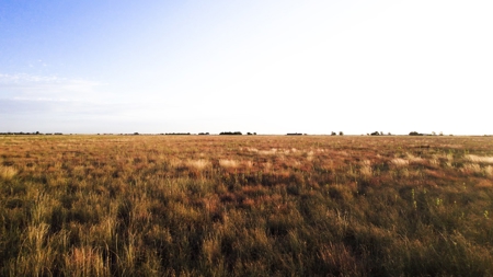 Improved Grass Tract, Expired CRP, Close to town - image 4